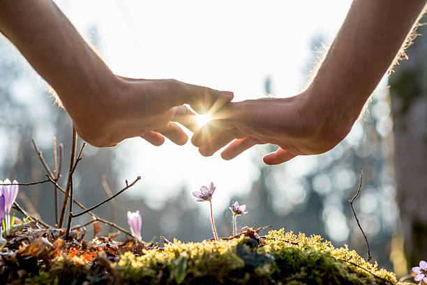 istockphoto 492623216 612x612